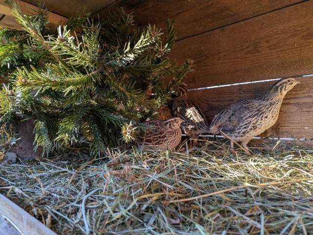 Inzerát: 7ac0cd89-dc8d-408d-844c-baefe1e4d0e1